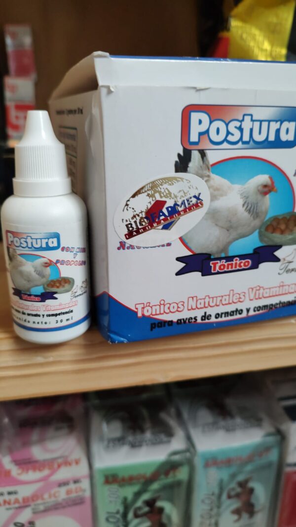POSTURA TONICO PARA GALLINA